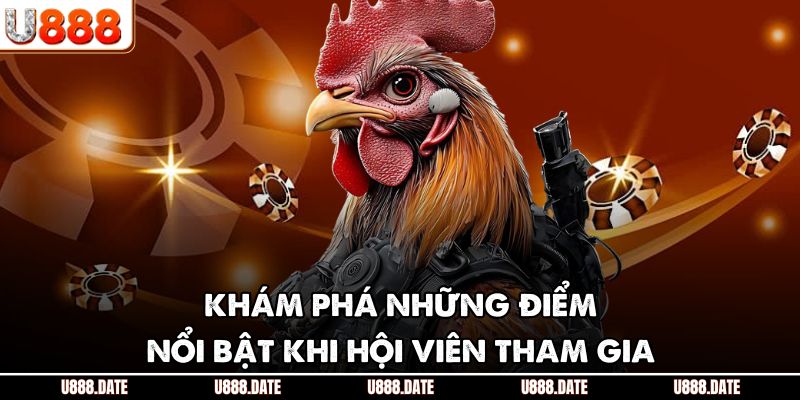 Đá Gà Thomo Trực Tiếp | Hướng Dẫn & Mẹo Chơi Hiệu Quả 4 Khám phá những điểm nổi bật khi hội viên tham gia